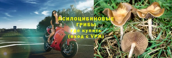 спиды Баксан